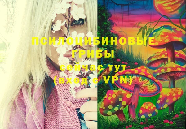 винт Арсеньев